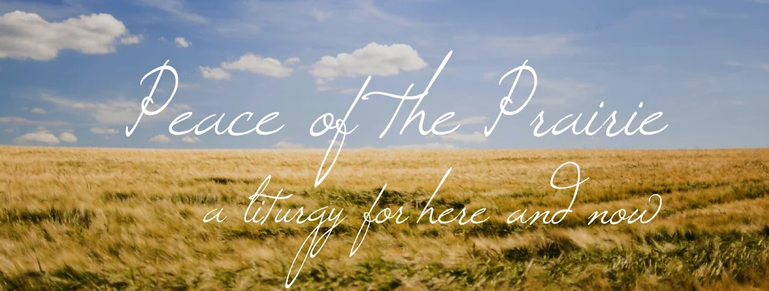 Image of a field with a horizon in the background. Text reads: 